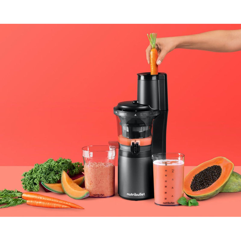 NutriBullet Slow Masticating & Cold Press Juicer & Reviews Wayfair
